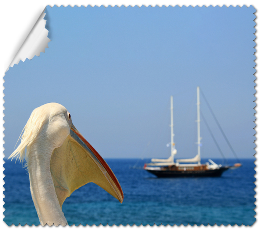 ΠΑΝΑΚΙ Microfiber Digital - SUMMER 14x16cm (κωδ.7074449)