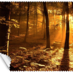 ΠΑΝΑΚΙ Microfiber Digital - AUTUMN 16x14cm (κωδ.7074501)