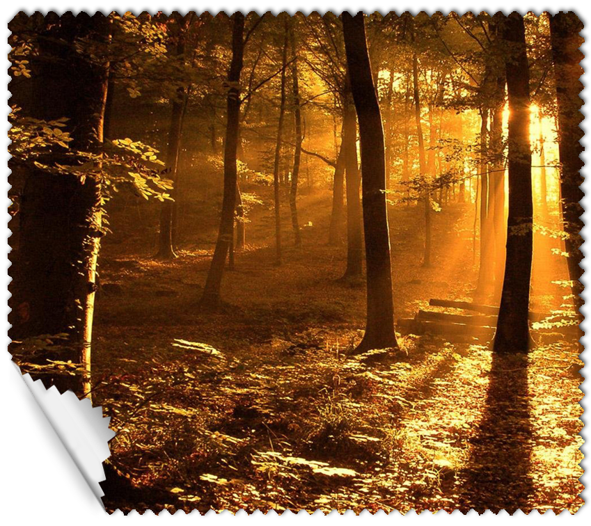 ΠΑΝΑΚΙ Microfiber Digital - AUTUMN 16x14cm (κωδ.7074501)