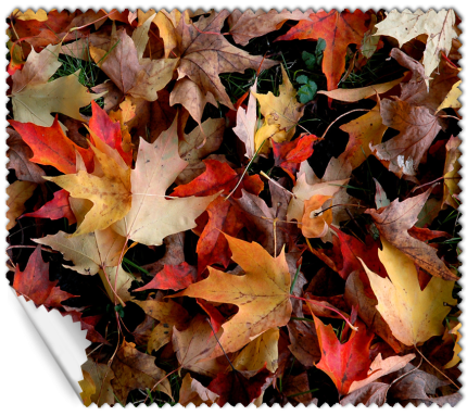 ΠΑΝΑΚΙ Microfiber Digital - AUTUMN 16x14cm (κωδ.7074503)