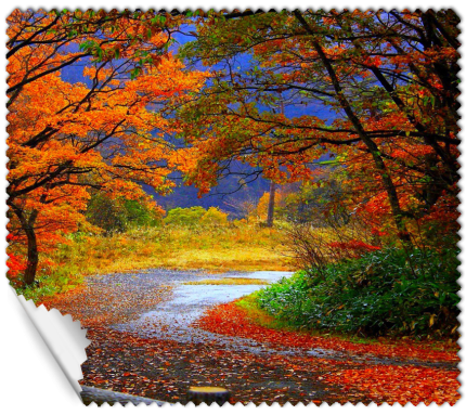 ΠΑΝΑΚΙ Microfiber Digital - AUTUMN 16x14cm (κωδ.7074504)
