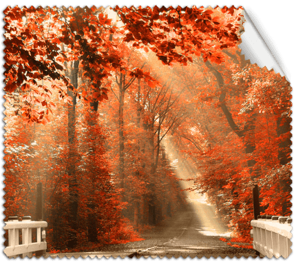 ΠΑΝΑΚΙ Microfiber Digital - AUTUMN 16x14cm (κωδ.7074505)