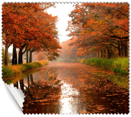 ΠΑΝΑΚΙ Microfiber Digital - AUTUMN 16x14cm (κωδ.7074506)