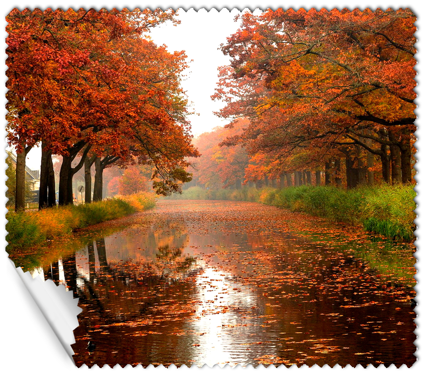 ΠΑΝΑΚΙ Microfiber Digital - AUTUMN 16x14cm (κωδ.7074506)