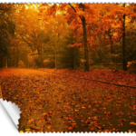 ΠΑΝΑΚΙ Microfiber Digital - AUTUMN 16x14cm (κωδ.7074507)
