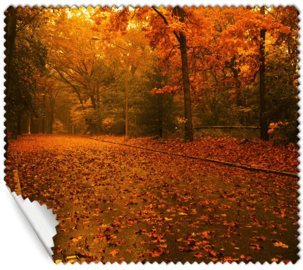 ΠΑΝΑΚΙ Microfiber Digital - AUTUMN 16x14cm (κωδ.7074507)