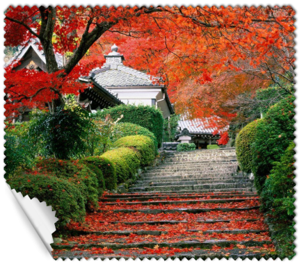 ΠΑΝΑΚΙ Microfiber Digital - AUTUMN 16x14cm (κωδ.7074509)