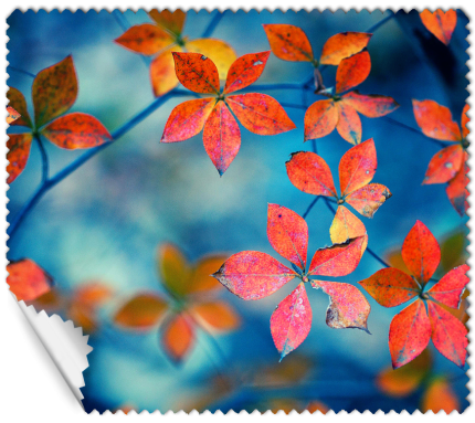 ΠΑΝΑΚΙ Microfiber Digital - AUTUMN 16x14cm (κωδ.7074510)