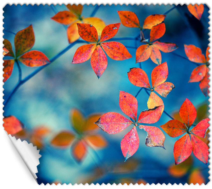 ΠΑΝΑΚΙ Microfiber Digital - AUTUMN 16x14cm (κωδ.7074510)