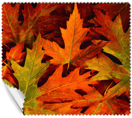 ΠΑΝΑΚΙ Microfiber Digital - AUTUMN 16x14cm (κωδ.7074511)