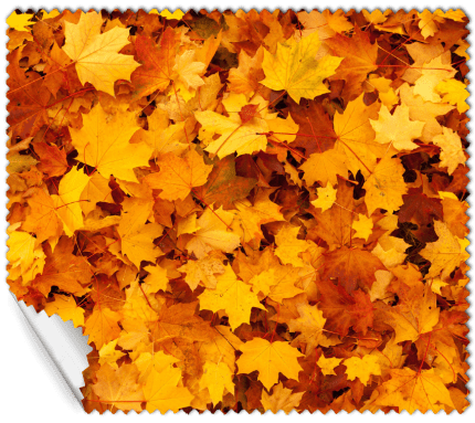 ΠΑΝΑΚΙ Microfiber Digital - AUTUMN 16x14cm (κωδ.7074512)