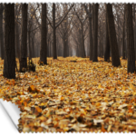 ΠΑΝΑΚΙ Microfiber Digital - AUTUMN 16x14cm (κωδ.7074513)