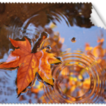ΠΑΝΑΚΙ Microfiber Digital - AUTUMN 16x14cm (κωδ.7074521)